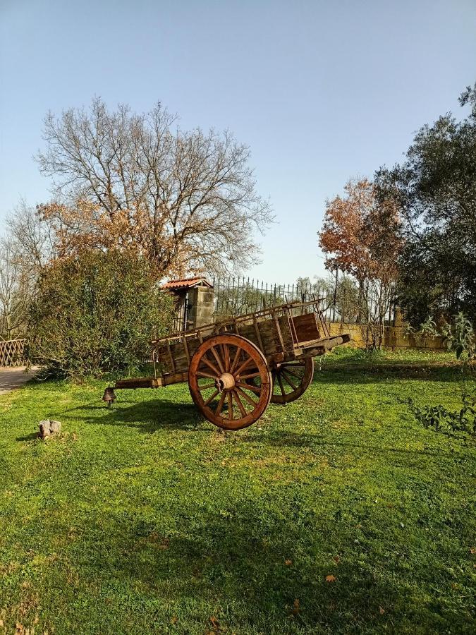 Rifugio Di Campagna Villa Vitorchiano Exterior foto